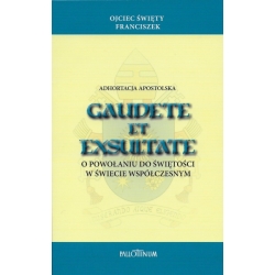 Gaudete et exsultate, Adhortacja Apostolska, Ojciec Święty Franciszek