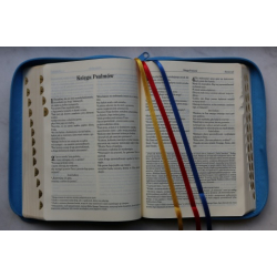 Biblia pierwszego Kościoła okładka PU